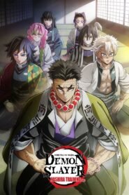 Demon Slayer: Kimetsu no Yaiba: Season 5